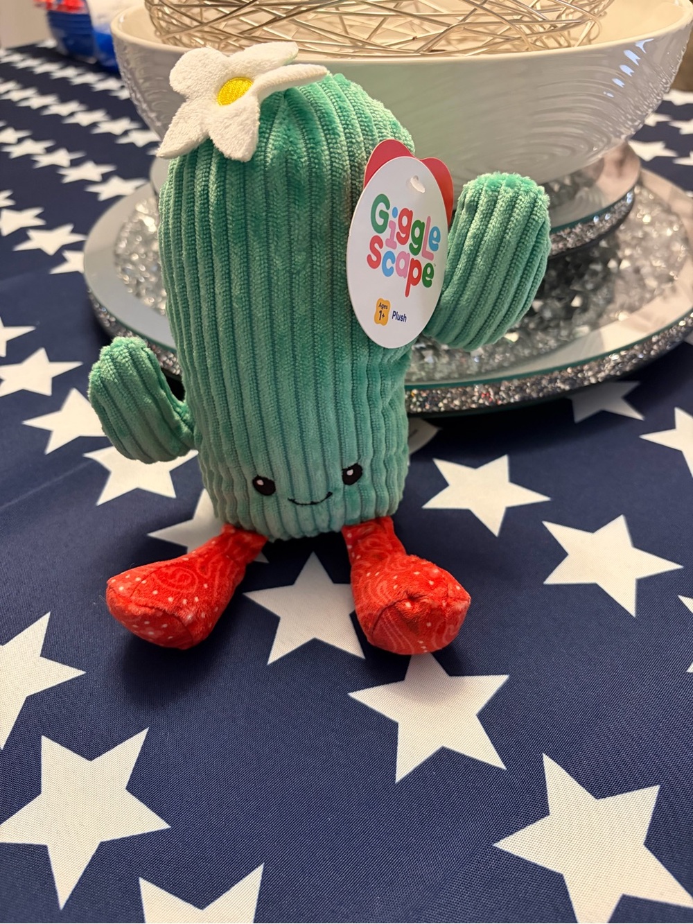 Gigglescape Cactus